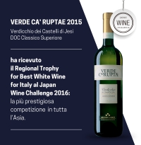 VERDE CA&#039; RUPTAE 2015: REGIONAL TROPHY FOR BEST WHITE WINE FOR ITALY AL JAPAN WINE CHALLENGE 2016